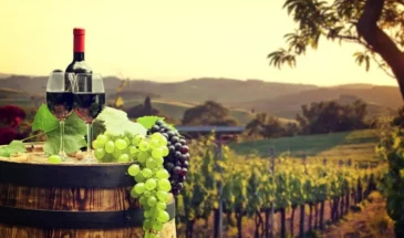 yerevan-wine-days-2026-2