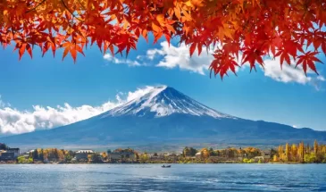 Tour to Japan in Autumn