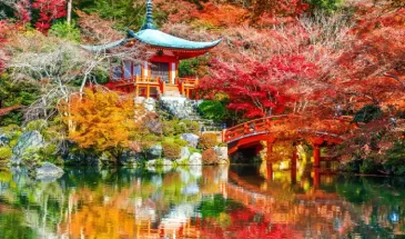 Tour to Japan in Autumn