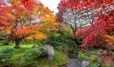 Tour to Japan in Autumn