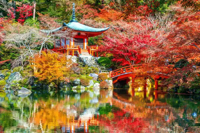 Tour to Japan in Autumn