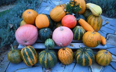 Join the Pumpkin Festival in Hovk Village Armenia!