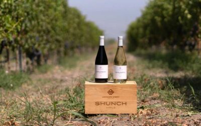 Aratashen Winery: Wine Tasting and Unforgettable Events