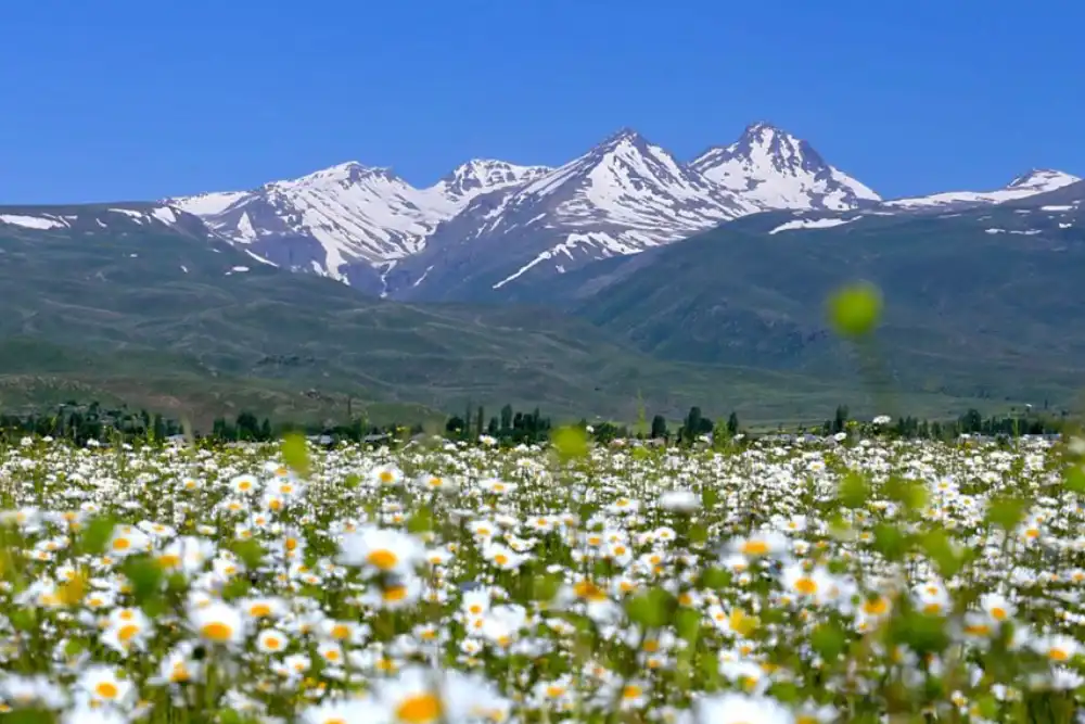 Mount Aragats