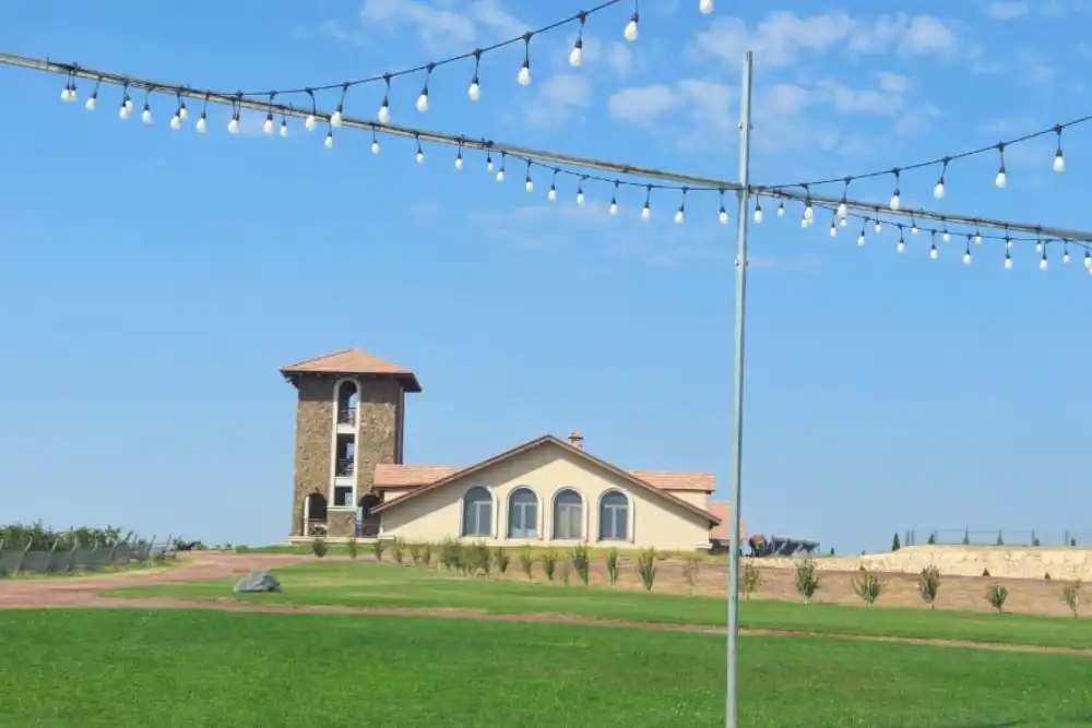 Wine Factory