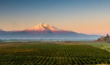 vineyard-ararat-khor-virap-1_optimized Vineyard-Ararat-Khor-Virap