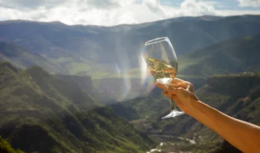 wine-lori-region-1_optimized